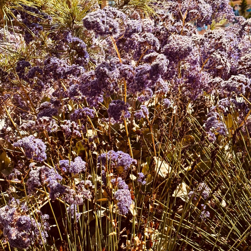 Meet your Posher, Rabea